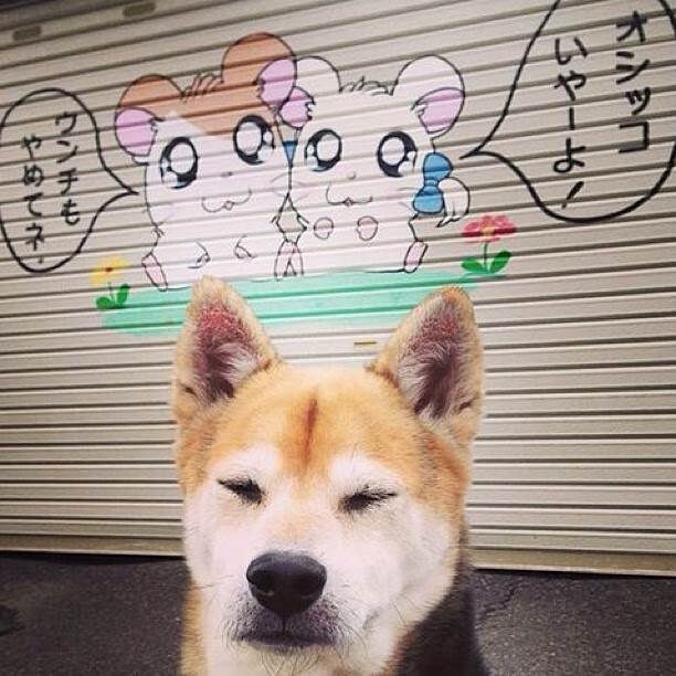 2025足球世俱杯官网-马克·阿特金森：凭借出色的速度，南非队成功突破对方防线，阿特马里克